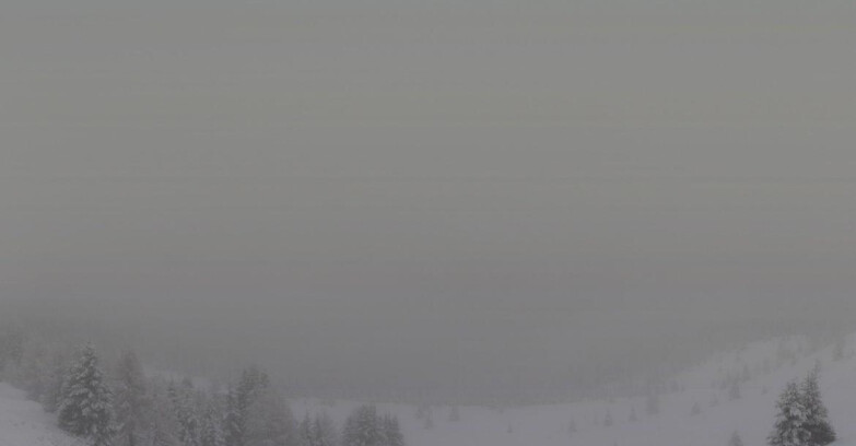 Webcam Folgarida-Marilleva  (Skiarea Campiglio Dolomiti di Brenta - Val di Sole Val Rendena) - Dolomiti di Brenta - Marilleva