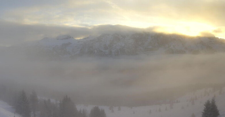 Webcam Skiarea Campiglio Dolomiti di Brenta Val di Sole Val Rendena - Dolomiti di Brenta - Marilleva