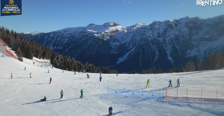 Webcam Ski area Campiglio Dolomiti di Brenta Val di Sole Val Rendena - Pista delle Rocce - Folgarida
