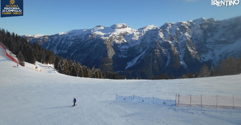 Webcam Ski area Campiglio Dolomiti di Brenta Val di Sole Val Rendena - Pista delle Rocce - Folgarida