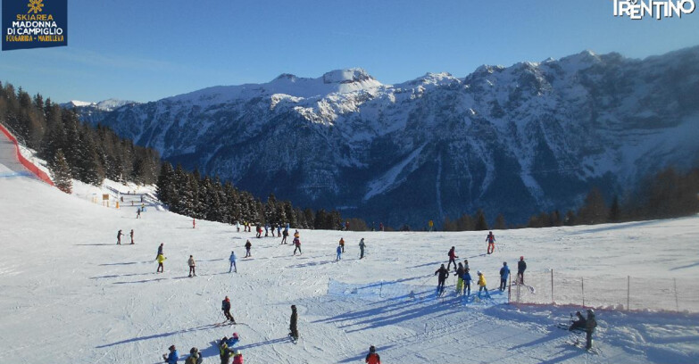 Webcam Ski area Campiglio Dolomiti di Brenta Val di Sole Val Rendena - Pista delle Rocce - Folgarida