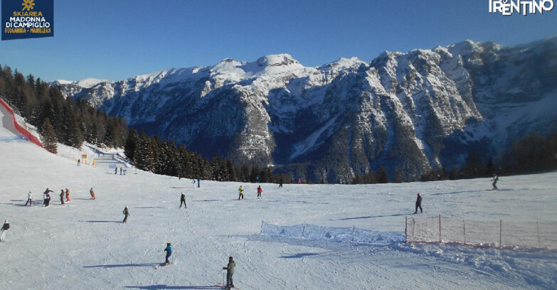 Webcam Ski area Campiglio Dolomiti di Brenta Val di Sole Val Rendena - Pista delle Rocce - Folgarida