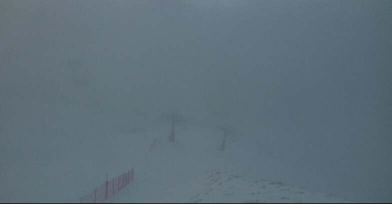 Webcam Pozza di Fassa-Aloch-Buffaure  - Baita Cuz Hütte