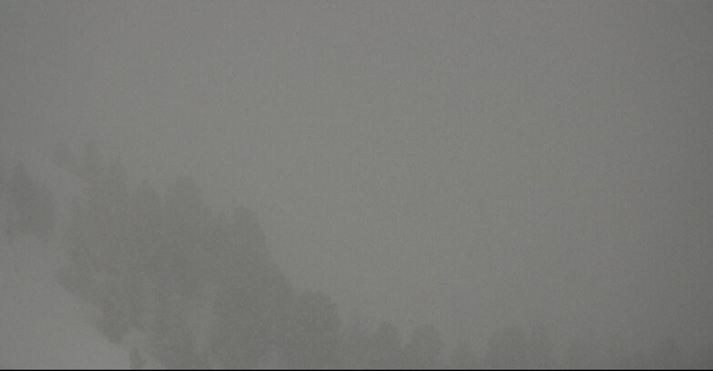 Webcam Pozza di Fassa-Aloch-Buffaure  - Panorama da Buffaure