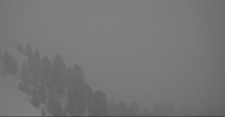 Webcam Pozza di Fassa-Aloch-Buffaure  - Panorama da Buffaure