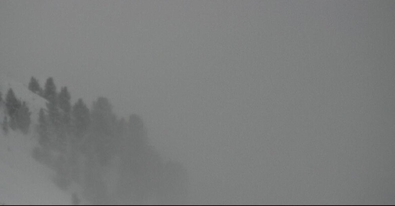 Webcam Pozza di Fassa-Aloch-Buffaure - Panorama da Buffaure