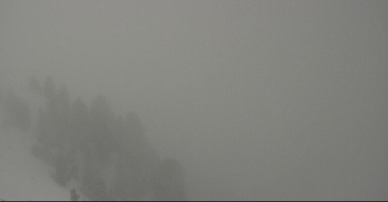 Webcam Pozza di Fassa-Aloch-Buffaure - Panorama da Buffaure