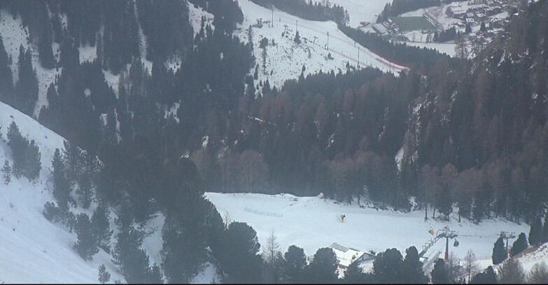 Webcam Pozza di Fassa-Aloch-Buffaure  - Panorama da Buffaure