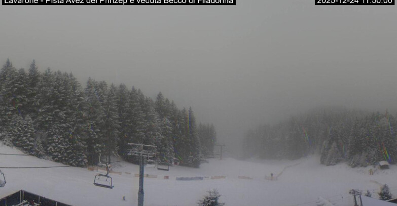 Webcam Ski area Lavarone - Pista Avez- seggiovia Lagh.