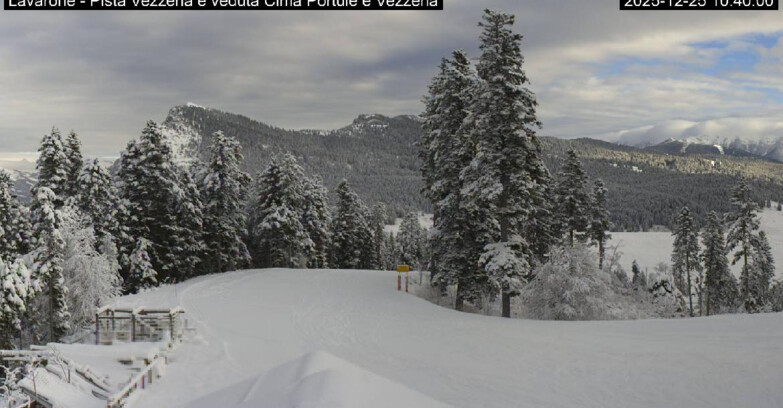 Webcam Lavarone - Piste Vezzena