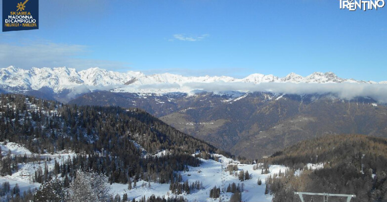 Webcam Ski area Campiglio Dolomiti di Brenta Val di Sole Val Rendena - Val Panciana