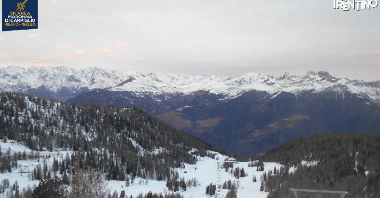 Webcam Ski area Campiglio Dolomiti di Brenta Val di Sole Val Rendena - Val Panciana