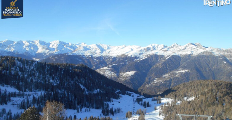 Webcam Skiarea Campiglio Dolomiti di Brenta Val di Sole Val Rendena - Val Panciana