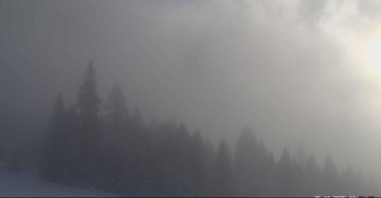 Webcam Сан-Мартино-ди-Кастроцца - Пассо-Ролле - Le Pale di San Martino