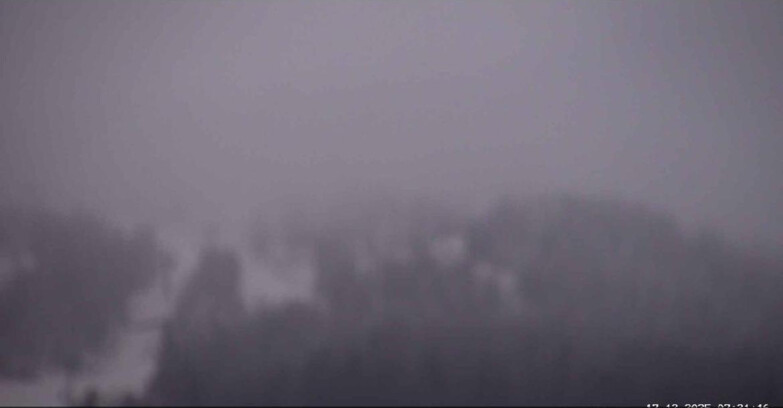 Webcam San Martino di Castrozza - Passo Rolle - Alpe Tognola e Pista 1