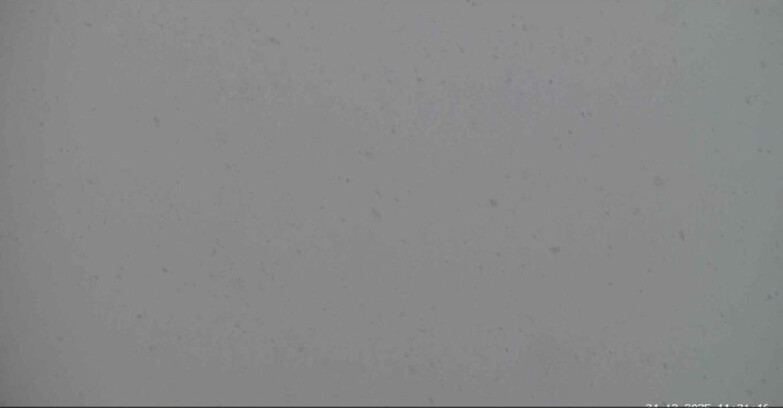 Webcam San Martino di Castrozza - Passo Rolle - Alpe Tognola e Pista 1