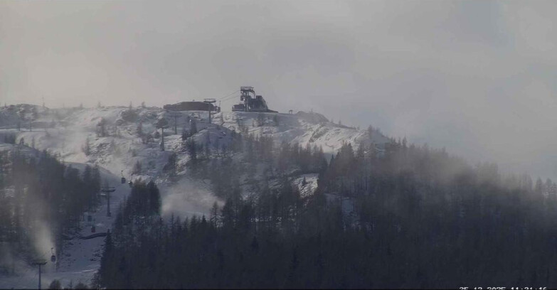 Webcam Сан-Мартино-ди-Кастроцца - Пассо-Ролле - Alpe Tognola e Pista 1