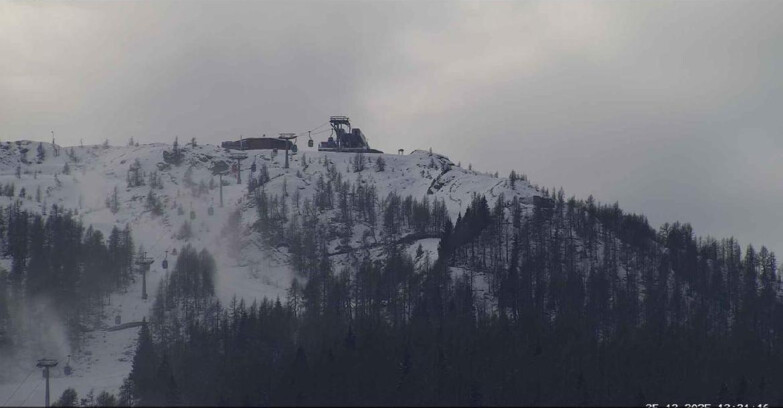 Webcam Сан-Мартино-ди-Кастроцца - Пассо-Ролле - Alpe Tognola e Pista 1