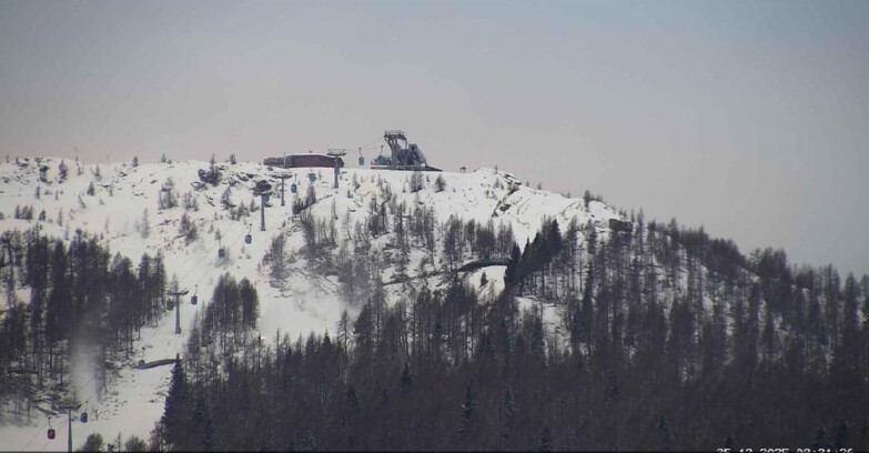 Webcam Сан-Мартино-ди-Кастроцца - Пассо-Ролле - Alpe Tognola e Pista 1