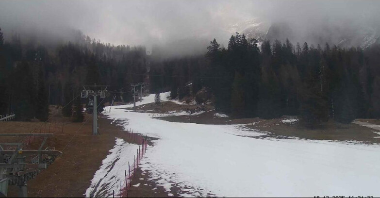 Webcam San Martino di Castrozza - Passo Rolle - Pista Col Verde