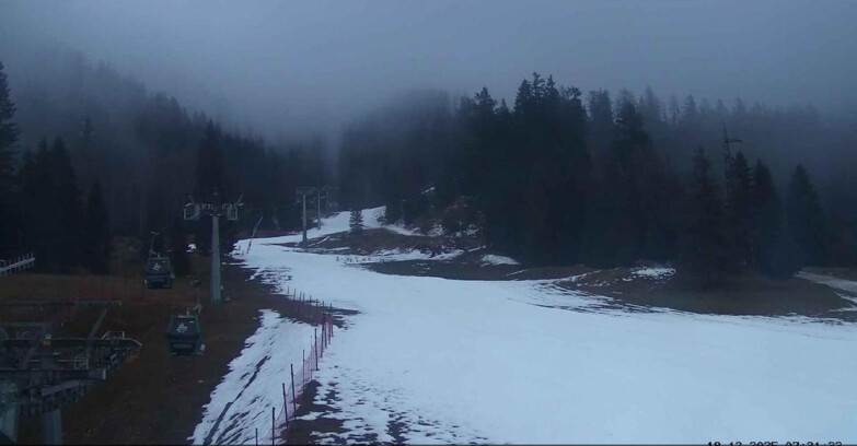 Webcam San Martino di Castrozza - Passo Rolle - Pista Col Verde