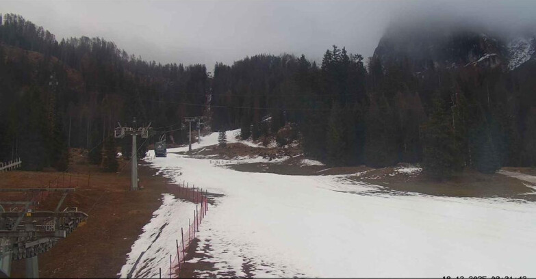 Webcam San Martino di Castrozza - Passo Rolle - Pista Col Verde