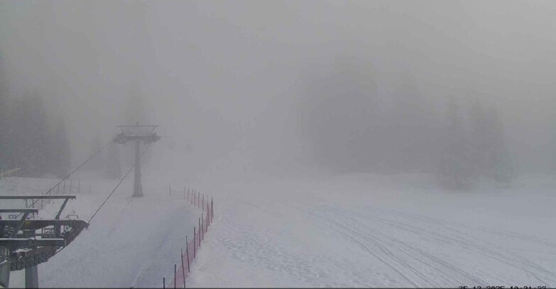 Webcam Сан-Мартино-ди-Кастроцца - Пассо-Ролле - Pista Col Verde