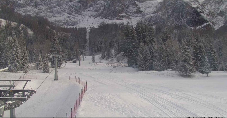 Webcam Сан-Мартино-ди-Кастроцца - Пассо-Ролле - Pista Col Verde