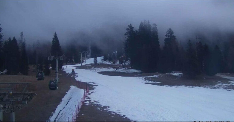 Webcam San Martino di Castrozza - Passo Rolle  - Pista Col Verde