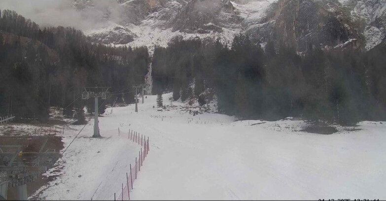 Webcam San Martino di Castrozza - Passo Rolle - Pista Col Verde