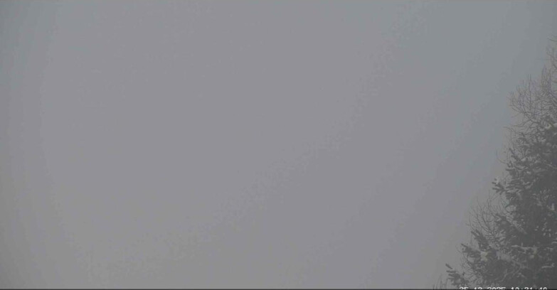 Webcam Сан-Мартино-ди-Кастроцца - Пассо-Ролле - Punta Ces 