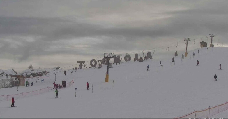 Webcam Сан-Мартино-ди-Кастроцца - Пассо-Ролле - Tognola Park