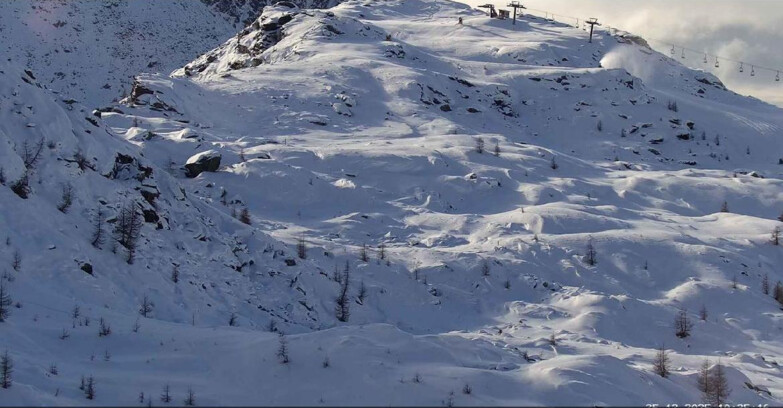 Webcam Сан-Мартино-ди-Кастроцца - Пассо-Ролле - Sentiero delle Marmotte