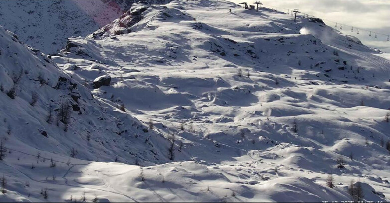 Webcam Сан-Мартино-ди-Кастроцца - Пассо-Ролле - Sentiero delle Marmotte