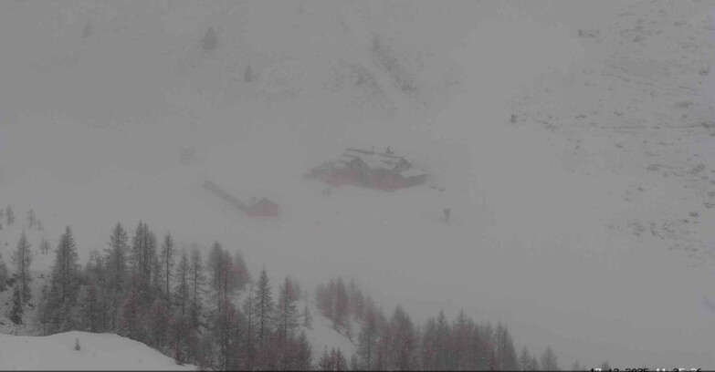 Webcam San Martino di Castrozza - Passo Rolle - Malga Tognola
