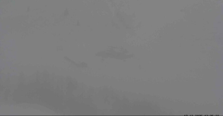 Webcam San Martino di Castrozza - Passo Rolle - Malga Tognola