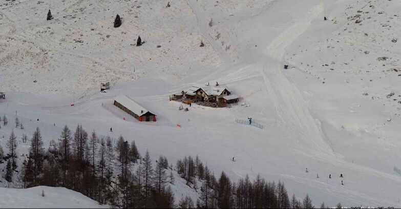 Webcam Сан-Мартино-ди-Кастроцца - Пассо-Ролле - Malga Tognola