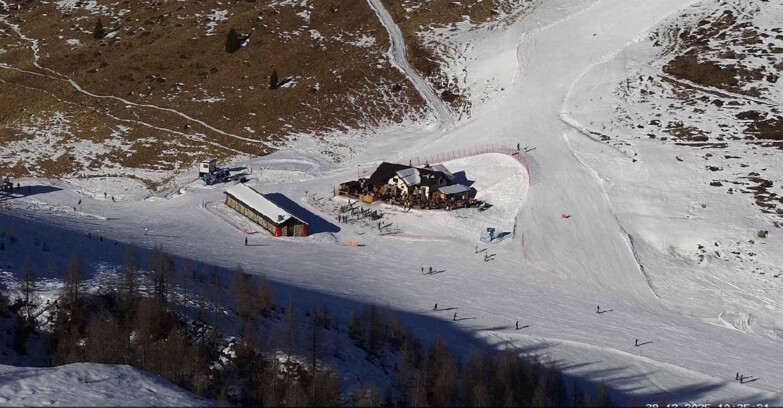 Webcam Сан-Мартино-ди-Кастроцца - Пассо-Ролле - Malga Tognola