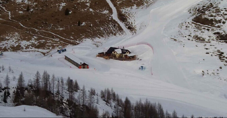 Webcam Сан-Мартино-ди-Кастроцца - Пассо-Ролле - Malga Tognola