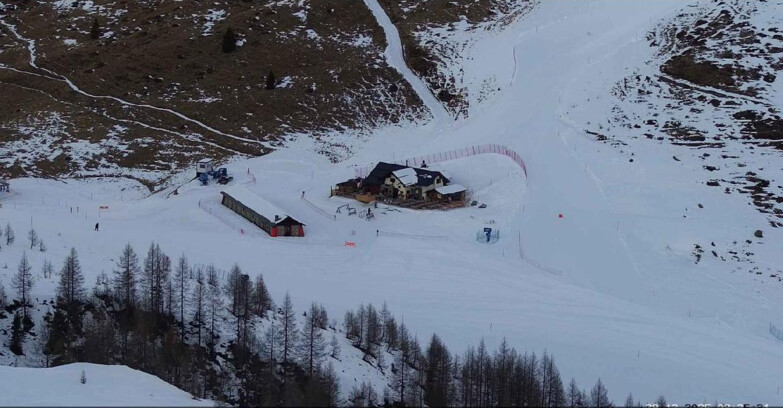 Webcam Сан-Мартино-ди-Кастроцца - Пассо-Ролле - Malga Tognola