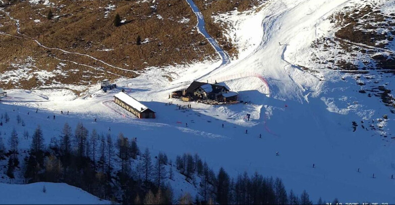 Webcam San Martino di Castrozza - Passo Rolle  - Malga Tognola
