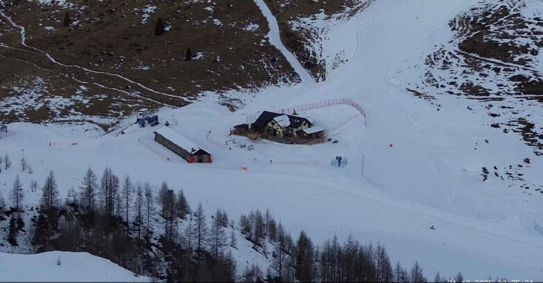 Webcam San Martino di Castrozza - Passo Rolle  - Malga Tognola