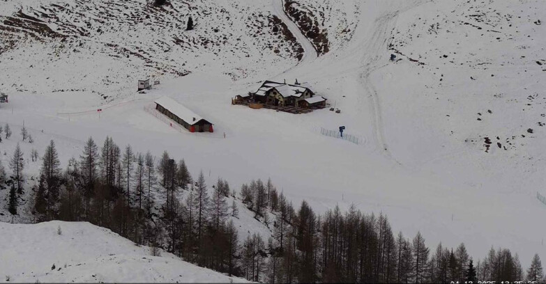 Webcam San Martino di Castrozza - Passo Rolle - Malga Tognola