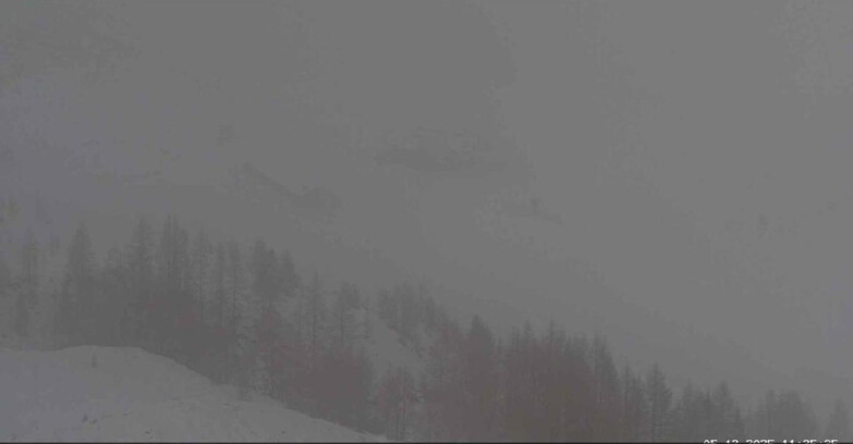 Webcam San Martino di Castrozza - Passo Rolle - Malga Tognola