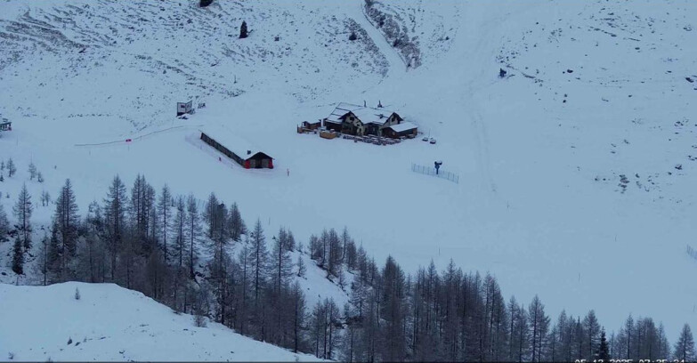 Webcam Сан-Мартино-ди-Кастроцца - Пассо-Ролле - Malga Tognola