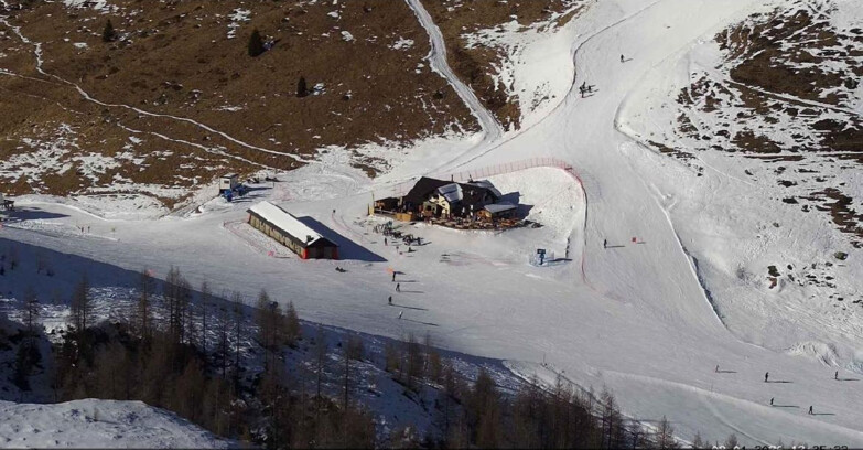 Webcam Сан-Мартино-ди-Кастроцца - Пассо-Ролле - Malga Tognola