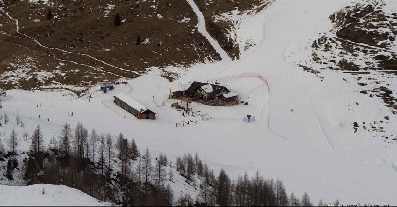 Webcam Сан-Мартино-ди-Кастроцца - Пассо-Ролле - Malga Tognola