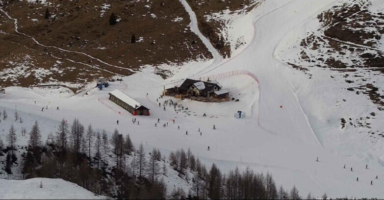 Webcam Сан-Мартино-ди-Кастроцца - Пассо-Ролле - Malga Tognola