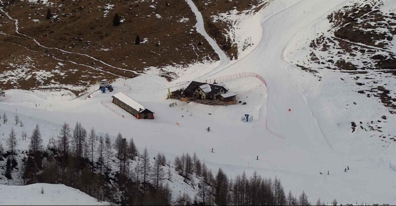 Webcam Сан-Мартино-ди-Кастроцца - Пассо-Ролле - Malga Tognola