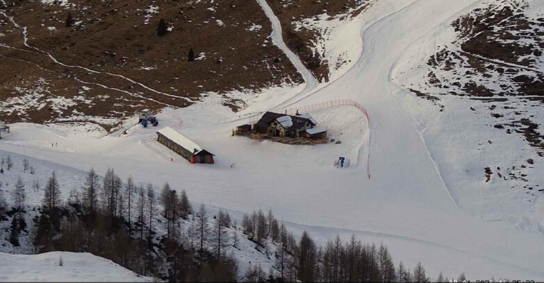 Webcam Сан-Мартино-ди-Кастроцца - Пассо-Ролле - Malga Tognola